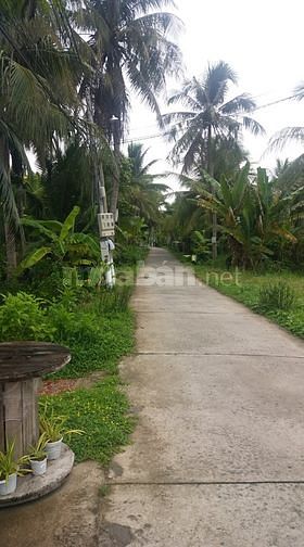 Đất nền Hữu Định 81m2 (đã có sổ), cách TP.Bến tre ~1km. Chính chủ TL