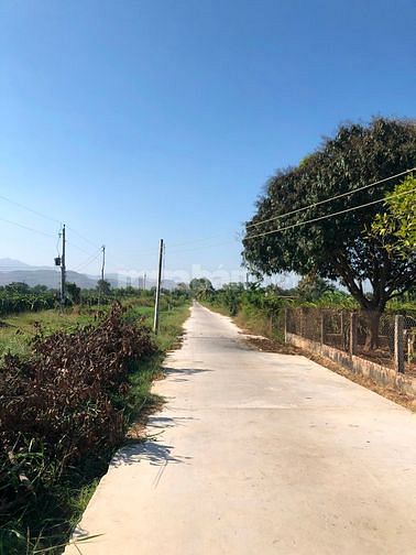 Bán đất full thổ ngay trung tâm hành chính Hàm Liêm, đường ô tô 10m, 62442861 Bán đất full thổ ngay trung tâm hành chính Hàm Liêm, đường ô tô 10m,
