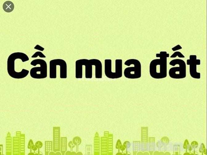 Cần mua đất Mặt tiền đường Võ Nguyên Giáp, TP.Biên Hòa, Đồng Nai 62440763 Cần mua đất Mặt tiền đường Võ Nguyên Giáp, TP.Biên Hòa, Đồng Nai