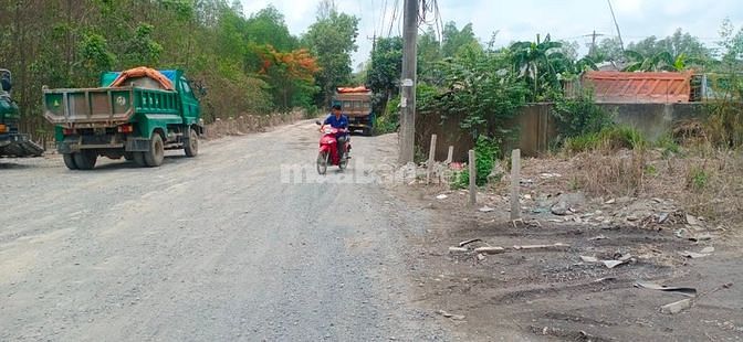 Kho, nhà xưởng cho thuê tại đường Đinh Quang  n, TP. Biên Hòa