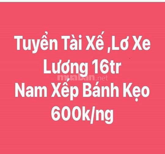 Tuyển gấp tài xế - phụ xe - xếp kho 62582271 Tuyển gấp tài xế - phụ xe - xếp kho