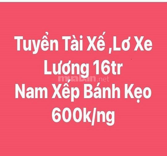 Tuyển gấp tài xế - phụ xe - xếp kho