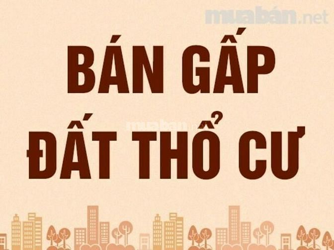 BÁN ĐẤT vườ thổ, lúa Đức Hòa, Đức Huệ, 10x50=550tr; 15x40m, 900tr 62680993 BÁN ĐẤT vườ thổ, lúa Đức Hòa, Đức Huệ, 10x50=550tr; 15x40m, 900tr