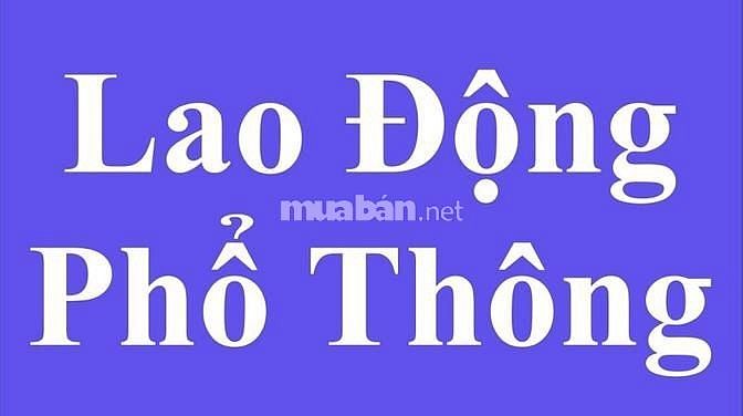 Chi nhánh SIÊU THỊ MiNi cần 02 nhân viên Nam/nữ đứng trực quầy hàng . 62691453 Chi nhánh SIÊU THỊ MiNi cần 02 nhân viên Nam/nữ đứng trực quầy hàng .