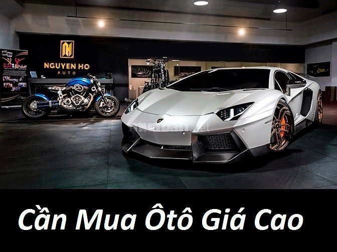 Tìm mua Toyota Zace, Jolie, innova, everest về cho thuê 62742811 Tìm mua Toyota Zace, Jolie, innova, everest về cho thuê
