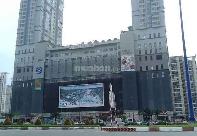 Cần mua đất thổ cư mặt tiền đường oto 62754368 Cần mua đất thổ cư mặt tiền đường oto