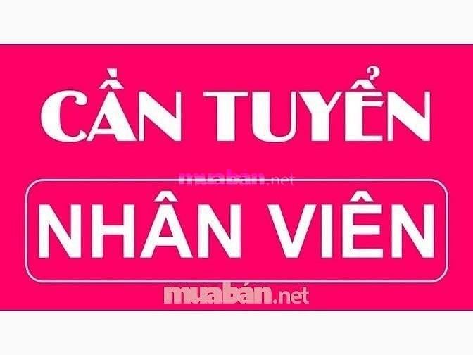 Tuyển nhân viên văn phòng, tốt nghiệp 9/12, lương 5-7 triệu 62771464 Tuyển nhân viên văn phòng, tốt nghiệp 9/12, lương 5-7 triệu