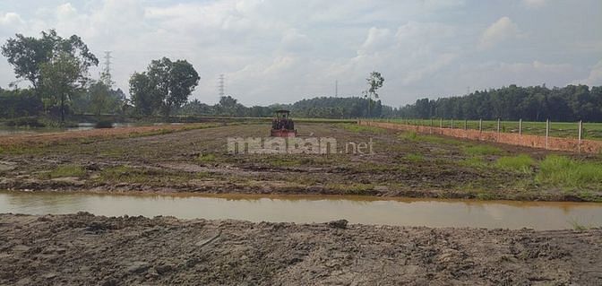 Bán nhà vườn 9466m2 Thái Mỹ Củ Chi