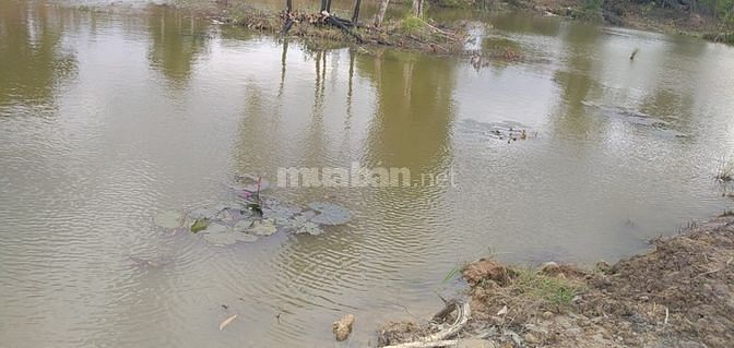 Bán nhà vườn 9466m2 Thái Mỹ Củ Chi