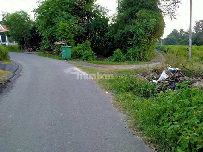 Bán nhà vườn 9466m2 Thái Mỹ Củ Chi