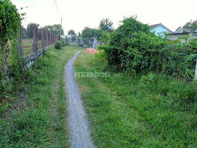 Bán nhà vườn 9466m2 Thái Mỹ Củ Chi