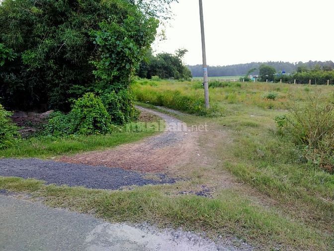 Bán nhà vườn 9466m2 Thái Mỹ Củ Chi