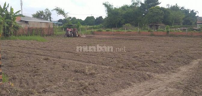 Bán nhà vườn 9466m2 Thái Mỹ Củ Chi