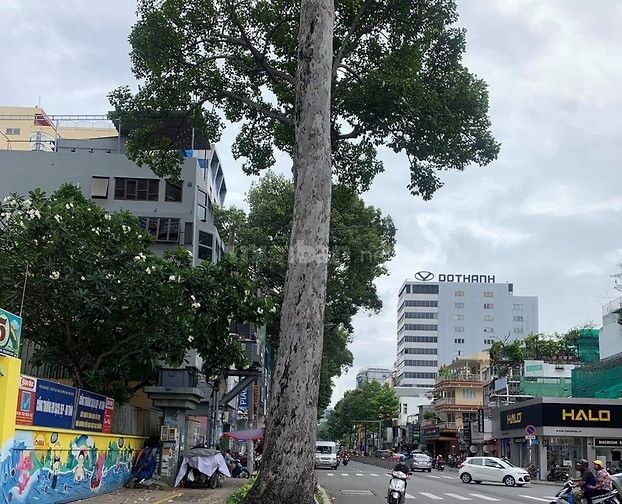 Bán Nhà Mặt Phố Nguyễn Thị Minh Khai,Q1, 150m2, Mặt Tiền 7m, Gíá 53 Tỷ - Vimarsana News