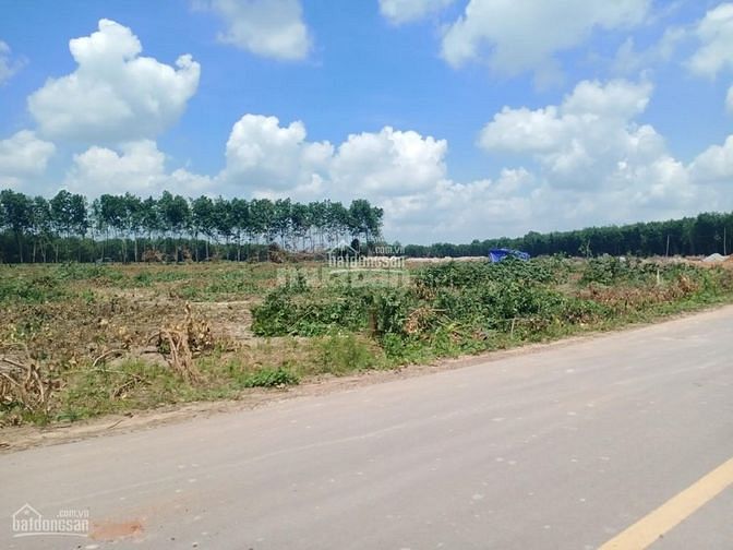 Lộc Ninh đất nền giá mềm sổ sẵn thổ cư 100m