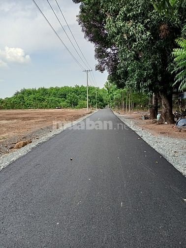 Lộc Ninh đất nền giá mềm sổ sẵn thổ cư 100m