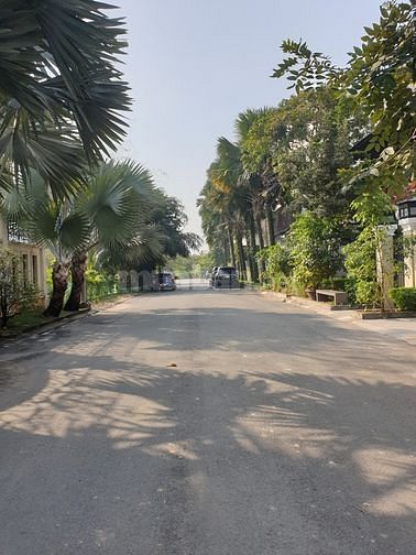 Bán đất kdc Long Thạnh Hưng đường 17 dt 125m2 giá 900tr có 2 nền liền 62113296 Bán đất kdc Long Thạnh Hưng đường 17 dt 125m2 giá 900tr có 2 nền liền