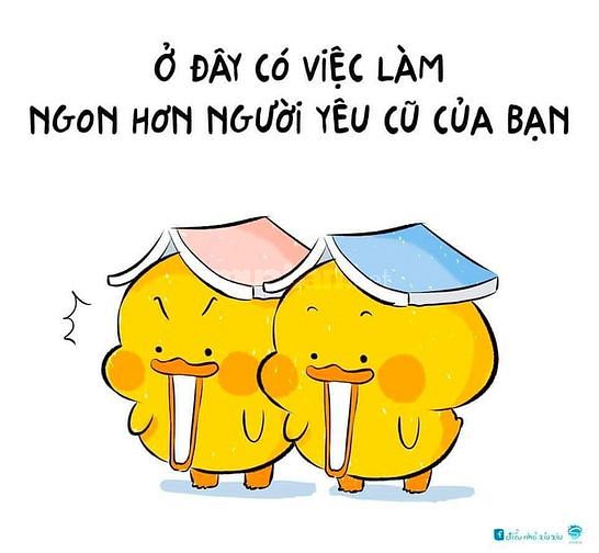 Tuyển gấp LĐPT làm việc tại Tp. Hồ Chí Minh 63046860 Tuyển gấp LĐPT làm việc tại Tp. Hồ Chí Minh