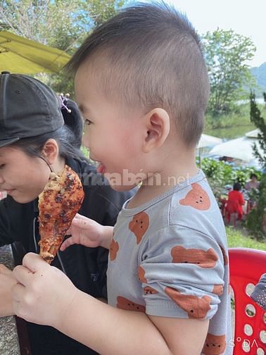 Gia đình tôi cần tuyển gấp một cô giúp việc chăm trẻ 60524598 Gia đình tôi cần tuyển gấp một cô giúp việc chăm trẻ