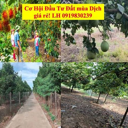 Nhà Bảo Vinh A, Long Khánh mới tinh 1,2 Tỷ cần bán 63094164 Nhà Bảo Vinh A, Long Khánh mới tinh 1,2 Tỷ cần bán