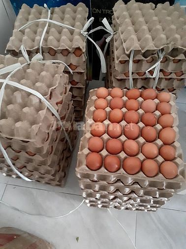 Vựa sỉ trứng gà , vịt Tp HCM gí rẻ 63172515 Vựa sỉ trứng gà , vịt Tp HCM gí rẻ