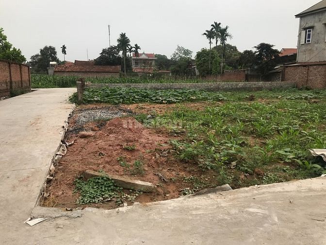 Chính chủ cần bán gấp 3 lô đất 200m2 đất sổ đỏ, thổ cư toàn bộ, có kho 63173933 Chính chủ cần bán gấp 3 lô đất 200m2 đất sổ đỏ, thổ cư toàn bộ, có kho