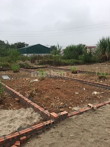 Bán 56m2 đất thổ cư thôn Nghĩa Lộ, Võng Xuyên, Phúc Thọ giá 470 triệu. 63200710 Bán 56m2 đất thổ cư thôn Nghĩa Lộ, Võng Xuyên, Phúc Thọ giá 470 triệu.