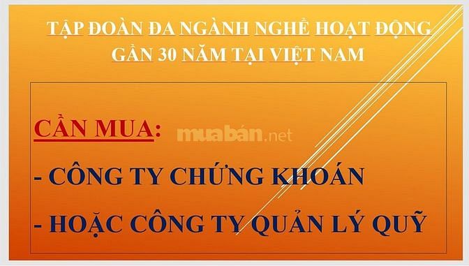Cần MUA Công ty Chứng khoán hoặc Công ty quản lý Quỹ. 63232303 Cần MUA Công ty Chứng khoán hoặc Công ty quản lý Quỹ.