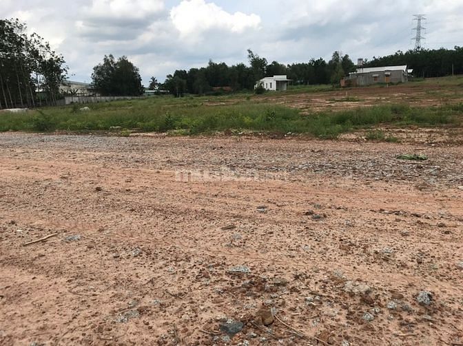 Đất Bàu Bàng diện tích lớn sổ sẵn thích hợp làm kho bãi