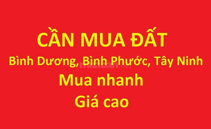 Mua đất vườn, đất cao su, đất ruộng, đất sào, trang trại Bình Dương 62769325 Mua đất vườn, đất cao su, đất ruộng, đất sào, trang trại Bình Dương