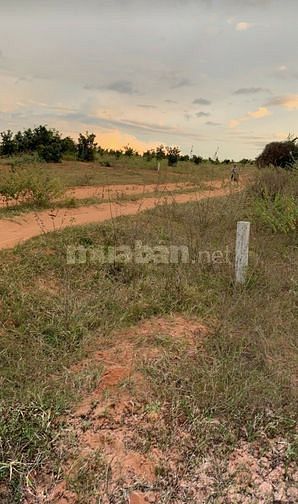 Cần bán 1hecta đất vườn bình thuận gần ĐT 716 ra biển hoà thắng 1,3 tỷ