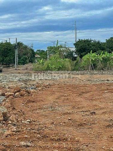 Em Cần Bán gấp miếng đất Sào Tại Bảo Quang TP Long Khánh Đồng Nai 63258828 Em Cần Bán gấp miếng đất Sào Tại Bảo Quang TP Long Khánh Đồng Nai