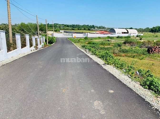 Bán đất SHR-Xây tự do 196m2- Ngay trục đường ven biển