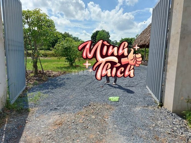 Bán nhà vườn 9466m2 Thái Mỹ Củ Chi