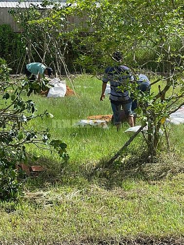 Bán nhà vườn 9466m2 Thái Mỹ Củ Chi