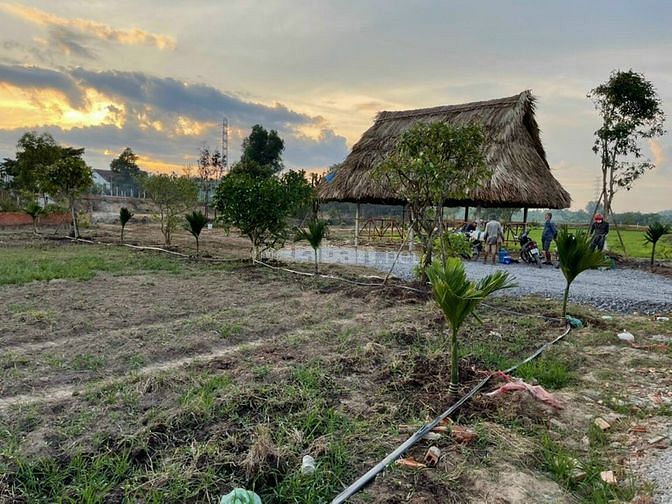 Bán nhà vườn 9466m2 Thái Mỹ Củ Chi