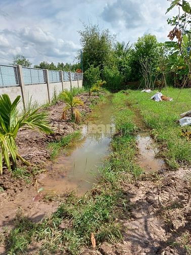 Bán nhà vườn 9466m2 Thái Mỹ Củ Chi