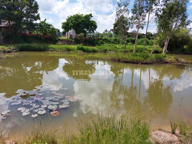 Bán nhà vườn 9466m2 Thái Mỹ Củ Chi