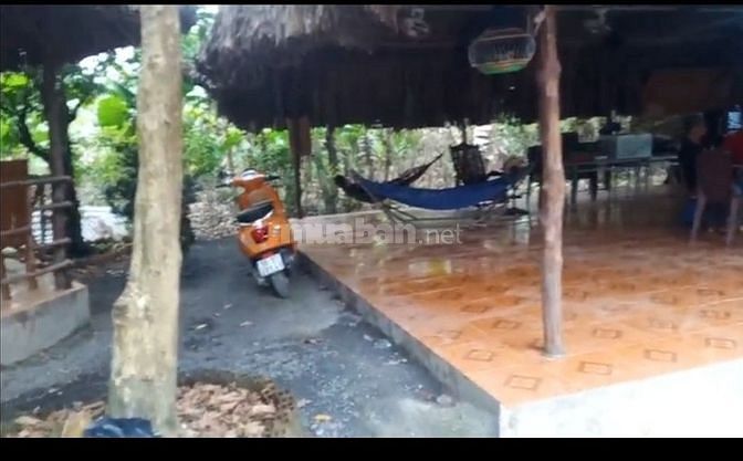 Bán lô đất đường Nhị Bình, xã.Nhị Bình, H.Hóc Môn, dt 1542m2.