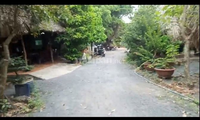 Bán lô đất đường Nhị Bình, xã.Nhị Bình, H.Hóc Môn, dt 1542m2.