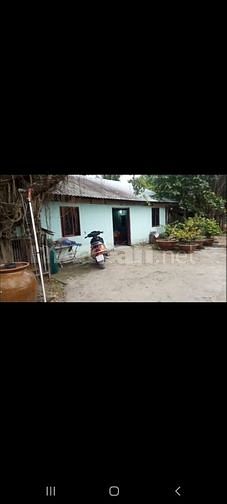 Bán lô đất đường Nhị Bình, xã.Nhị Bình, H.Hóc Môn, dt 1542m2.