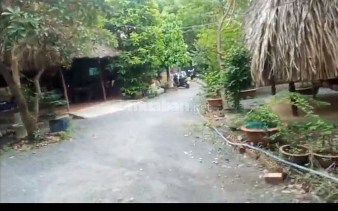 Bán lô đất đường Nhị Bình, xã.Nhị Bình, H.Hóc Môn, dt 1542m2.