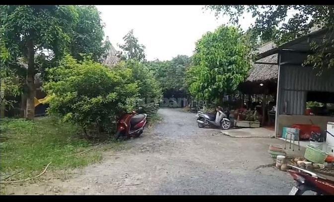 Bán lô đất đường Nhị Bình, xã.Nhị Bình, H.Hóc Môn, dt 1542m2.
