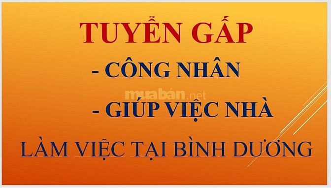 Tuyển công nhân và giúp việc nhà làm tại Bình Dương 63590567 Tuyển công nhân và giúp việc nhà làm tại Bình Dương