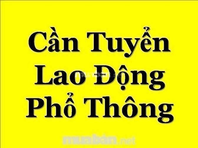Cty cần tuyển gấp 3 nam,nữ lđpt làm trong kho không cần kinh nghiệm 63608758 Cty cần tuyển gấp 3 nam,nữ lđpt làm trong kho không cần kinh nghiệm