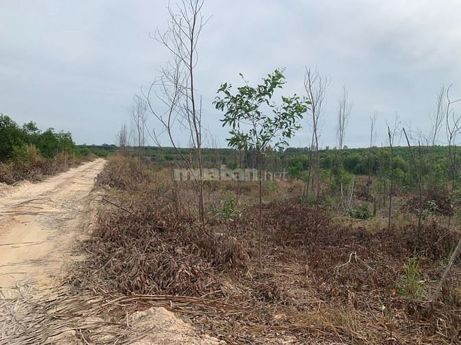 270m mặt tiền Kênh thủy lợi Tân Bình - Thị Xã Lagi gần biển