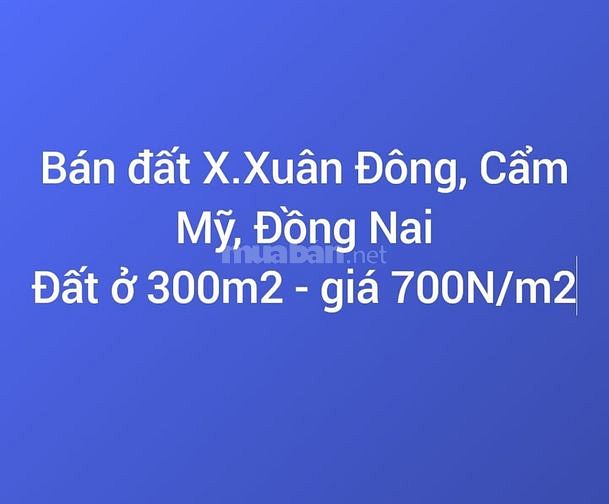 Bán đất X.Xuân Đông, H.Cẩm Mỹ, Đồng Nai, khu dân cư ngay ngã 4 rất đẹp 63934826 Bán đất X.Xuân Đông, H.Cẩm Mỹ, Đồng Nai, khu dân cư ngay ngã 4 rất đẹp
