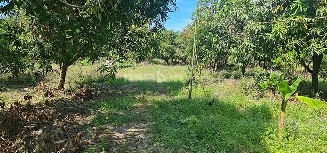 Bán 11.423m2 đất trung tâm xã Long Vĩnh, Châu Thành, Tây Ninh