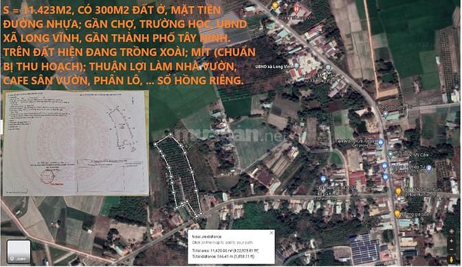 Bán 11.423m2 đất trung tâm xã Long Vĩnh, Châu Thành, Tây Ninh