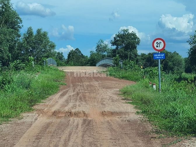 Bán 4.139m2 đất cây lâu năm, xã An Phú, H.Củ Chi; đường ôtô.